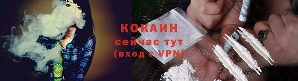 стафф Зеленокумск
