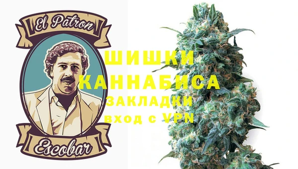 молекула духа Заволжье