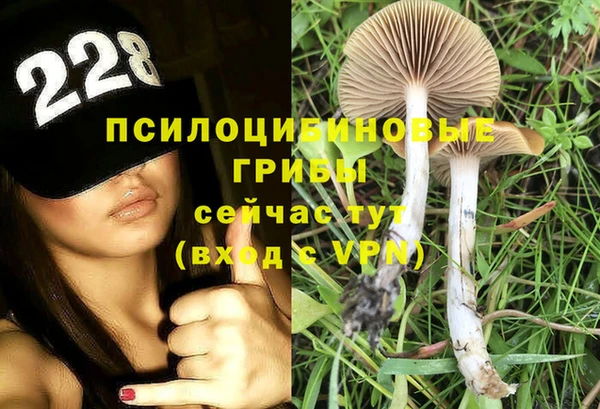 круглые Заводоуковск