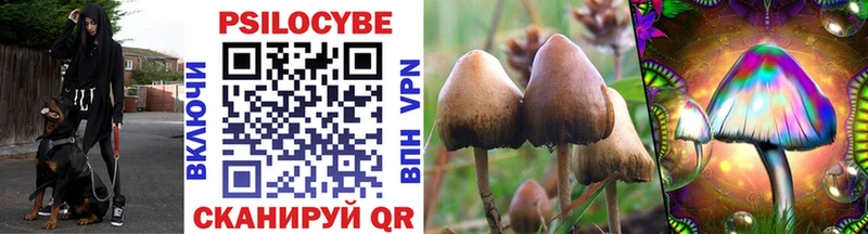 Псилоцибиновые грибы мухоморы  Карабаново 